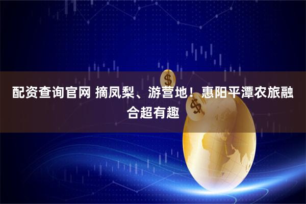 配资查询官网 摘凤梨、游营地！惠阳平潭农旅融合超有趣